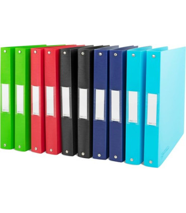 CARPETA RAPESCO PP A4 4 AN.35 SURT.