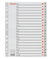 INDICE ESSELTE PP ALF.A4 20 ps.GRIS