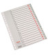 INDICE ESSELTE PP ALF.Fº 20 ps.GRIS
