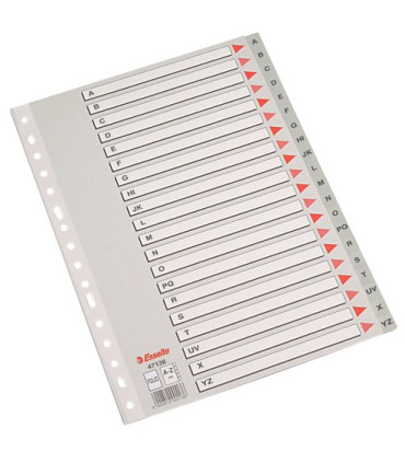 INDICE ESSELTE PP ALF.Fº 20 ps.GRIS