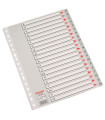 INDICE ESSELTE PP ALF.Fº 20 ps.GRIS