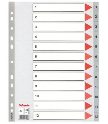 INDICE ESSELTE PP NUM.A4 ps.1-12 IND.COL