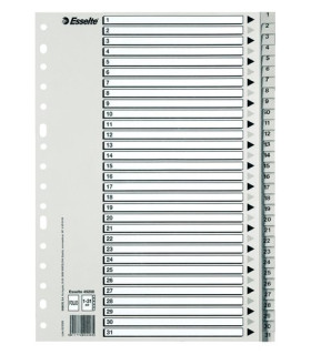 INDICE ESSELTE PP NUM.A4 ps.1-31 IND.B/N