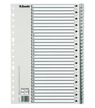 INDICE ESSELTE PP NUM.A4 ps.1-31 IND.B/N