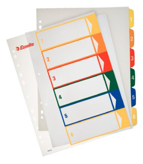 INDICE ESSELTE PP NUM.IMPRIM. A4 ps.1- 6
