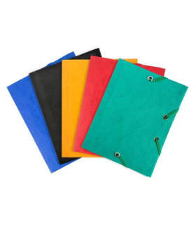 CARPETA SOLAP.EXACOMPTA CART. 12x16 SUTI