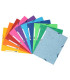 CARPETA SOLAP.EXACOMPTA CART. A4 SURT.