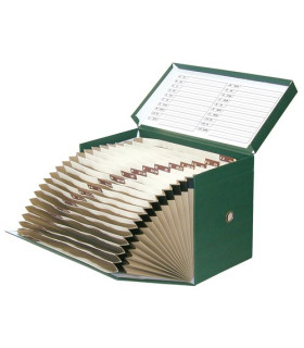 CAJA TRANSFERENCIAS ELBA Fº 21 cm VRD.FU