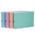 CARP.CLASIF.EXACOMPTA CART.A4+ 12 DP.SUR