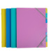 CARP.CLASIF.EXACOMPTA FY PP A4 8 DP. SUR