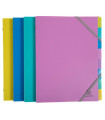 CARP.CLASIF.EXACOMPTA FY PP A4 8 DP. SUR