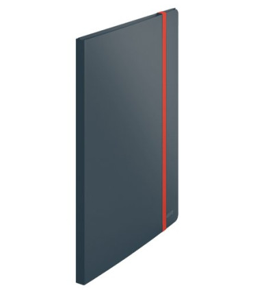 TARIF.LEITZ COSY PP A4 20 F. GRIS