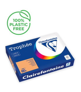 PAPEL COLOR A4 TROPHEE 80g 500h CLEMENTI