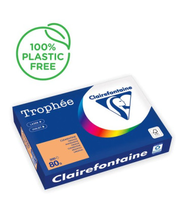 PAPEL COLOR A4 TROPHEE 80g 500h CLEMENTI