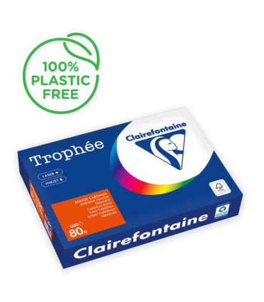 PAPEL COLOR A4 TROPHEE 80g 500h RJ.CARDE
