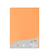 PAPEL CLAIREFONTAINE POLLEN A4 25h CLEME