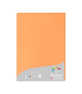 PAPEL CLAIREFONTAINE POLLEN A4 25h CLEME