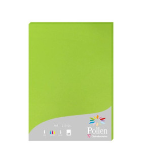 PAPEL CLAIREFONTAINE POLLEN A4 25h VERDE