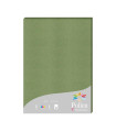 PAPEL CLAIREFONTAINE POLLEN A4 25h SALVI