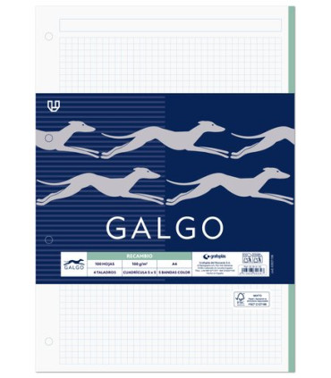 RECAMBIO GALGO A4 100h 4 TAL. CD.5
