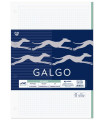 RECAMBIO GALGO A4 100h 4 TAL. CD.5