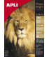 P.INKJET APLI FOTO A4 240g 60h BRIGHT