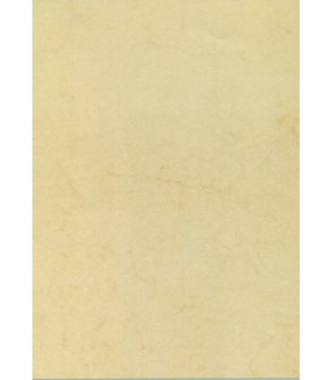 PAPEL HABANA A4 APLI  90g 100h