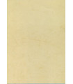 PAPEL HABANA A4 APLI  90g 100h