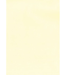 PAPEL VERJUR.A4 APLI 100g 100h CREMA