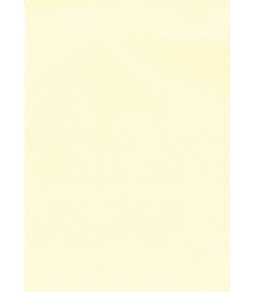 PAPEL VERJUR.A4 APLI 100g 100h CREMA