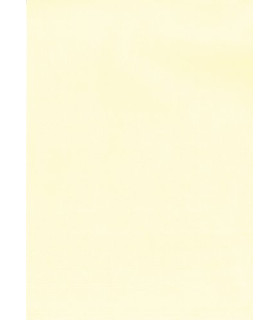 PAPEL VERJUR.A4 APLI 200g 20h CREMA