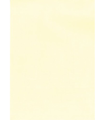 PAPEL VERJUR.A4 APLI 200g 20h CREMA