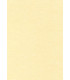 PAPEL PERGAMINO A4 APLI 95g 100h CHAMPAN