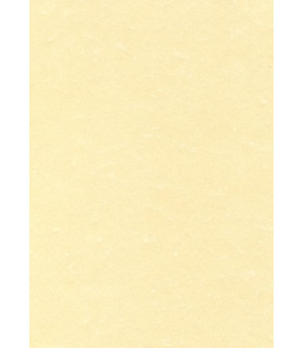 PAPEL PERGAMINO A4 APLI 95g 100h CHAMPAN