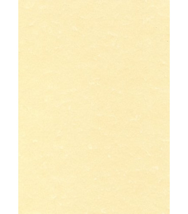 PAPEL PERGAMINO A4 APLI 95g 100h CHAMPAN