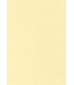 PAPEL PERGAMINO A4 APLI 95g 100h CHAMPAN