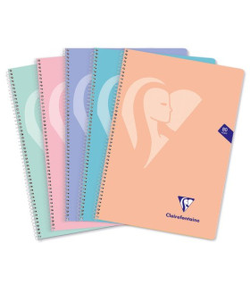 BLOC CLAIREFONTAINE Fº 80h 4x4 90g PAST