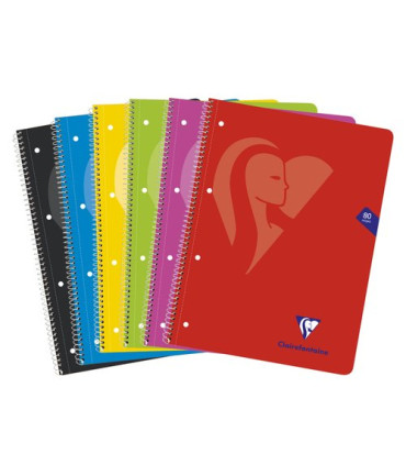 BLOC CLAIREFONTAINE MICRO A4 80h 5x5