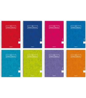 BLOC PAPYRUS t.DURA 4º 80h HZ COL.SURT.