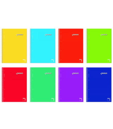 BLOC PACSA PREMIUM A4 160h CD.5 (8)