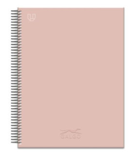 BLOC GALGO A5+ 100h 100g CD.5 ROSA