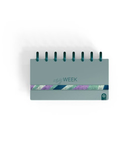 AG.CARCHIVO INGENIOX  MY WEEK TURQUESA