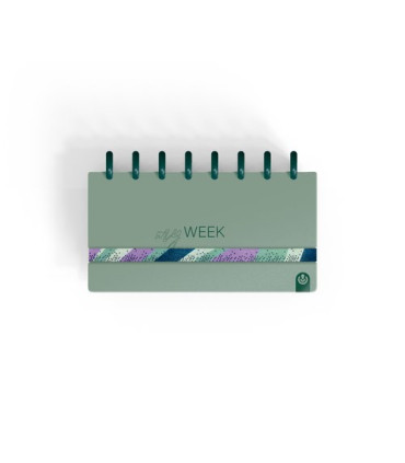 AG.CARCHIVO INGENIOX  MY WEEK VERDE