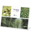 EXPOSITOR SOBR. L A3 HORIZONTAL CRISTAL