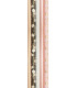 PAP.REGALO RL.CLAIREF.0,7x2 PRIMEROSE