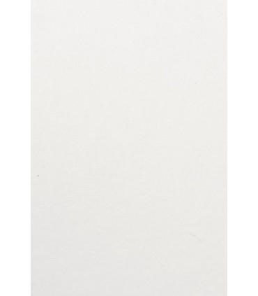 BOLSA PAPEL TV CEL. 18x29 BLANCO P/25