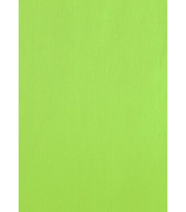 BOLSA PAPEL TV CEL. 24x40 PISTACHO P/25