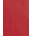 BOLSA PAPEL TV KRAFT 18x29 ROJO P/25