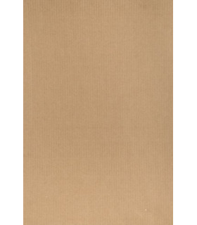BOLSA PAPEL TV KRAFT 24x40 MARRON P/25