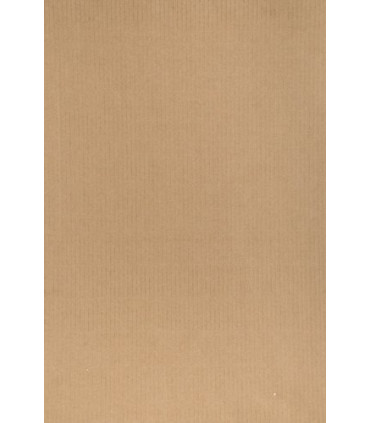 BOLSA PAPEL TV KRAFT 31x47 MARRON P/25